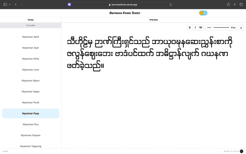 project screenshot
