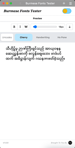 project screenshot